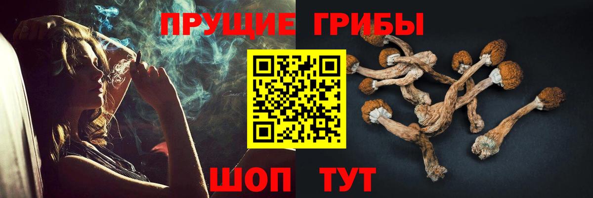 наркота  Галлюциногенные грибы мухоморы  Вход с VPN  Горно-Алтайск 